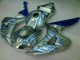 Carénage Moto Honda CBR 1000 RR 06-07 - Bleu Flamme Argent Carénage Moto Honda CBR 1000 RR 06-07 - Bleu Flamme Argent