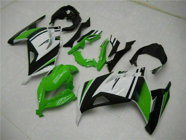 Carénage Moto Kawasaki EX300 13-16 - Vert Noir Argent Carénage Moto Kawasaki EX300 13-16 - Vert Noir Argent